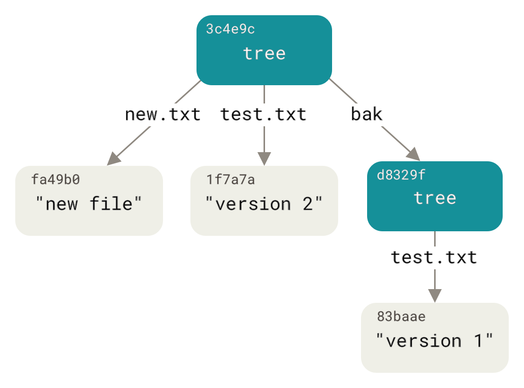 The content structure of your current Git data.