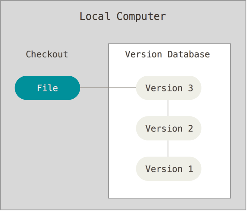 Schema di controllo di versione locale