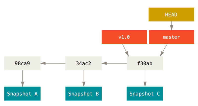 A branch and its commit history.